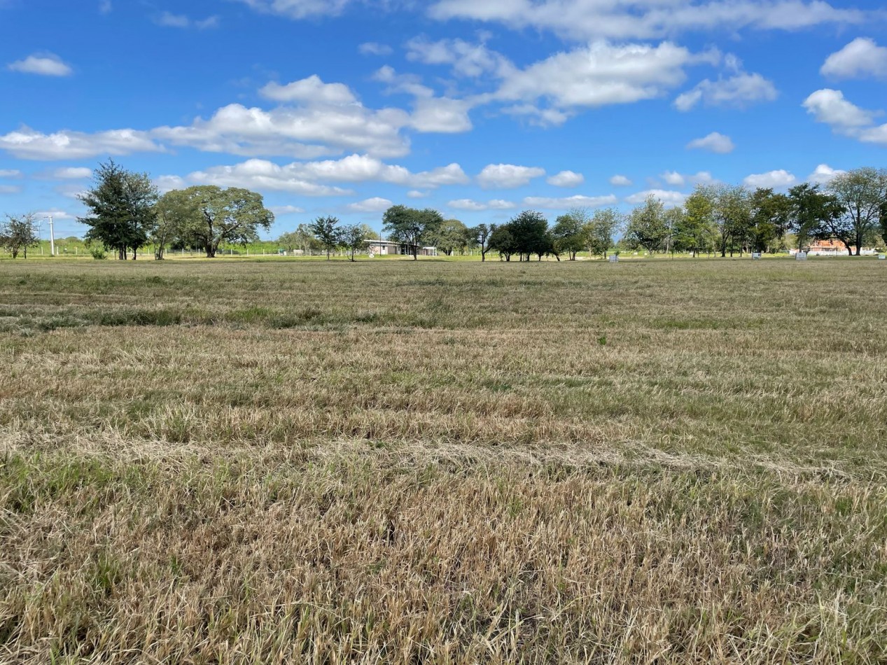 Terreno en la arbolada