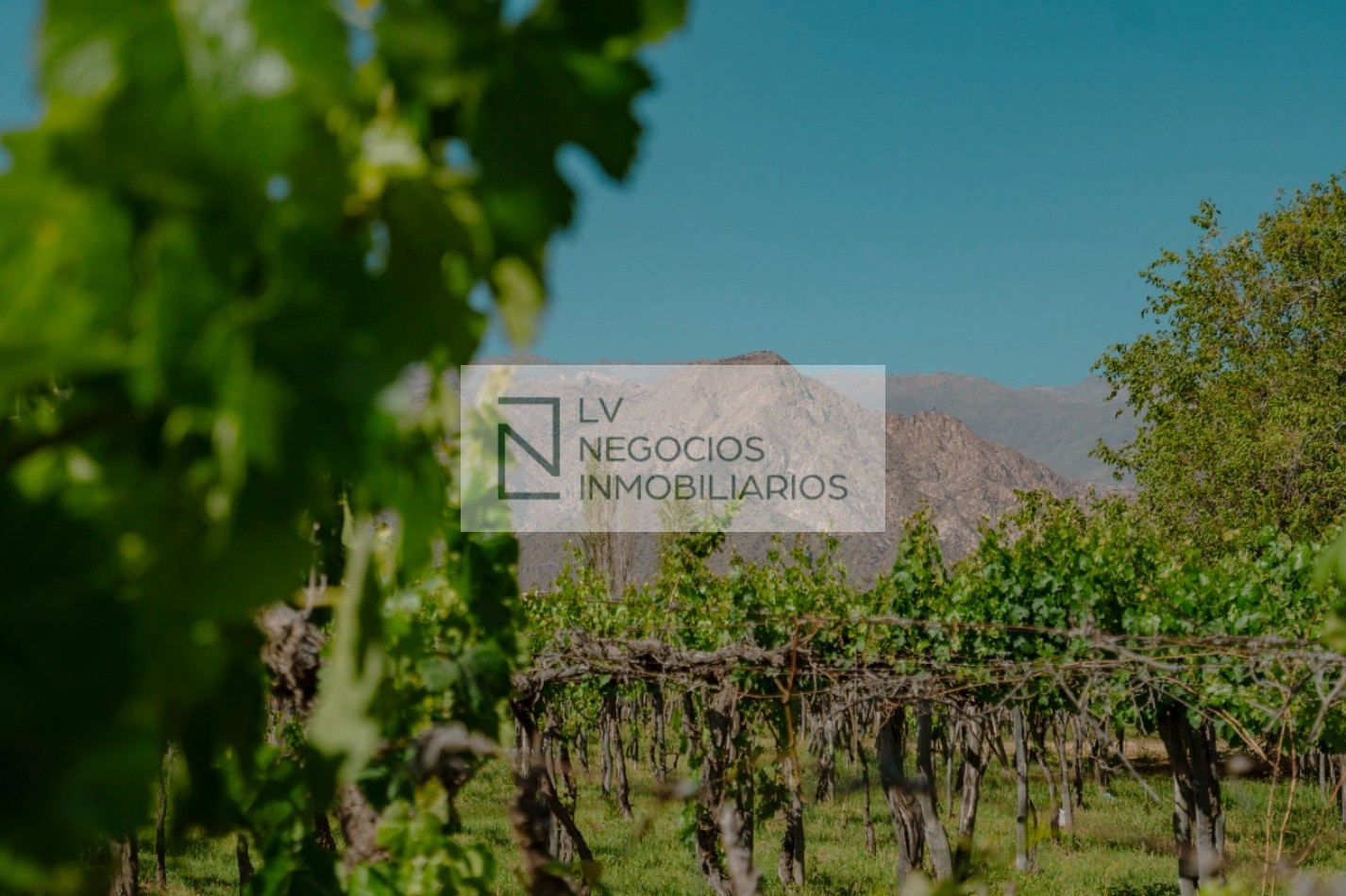 DEPARTAMENTO EN CAFAYATE