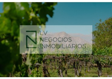 DEPARTAMENTO EN CAFAYATE 1 DORMITORIO